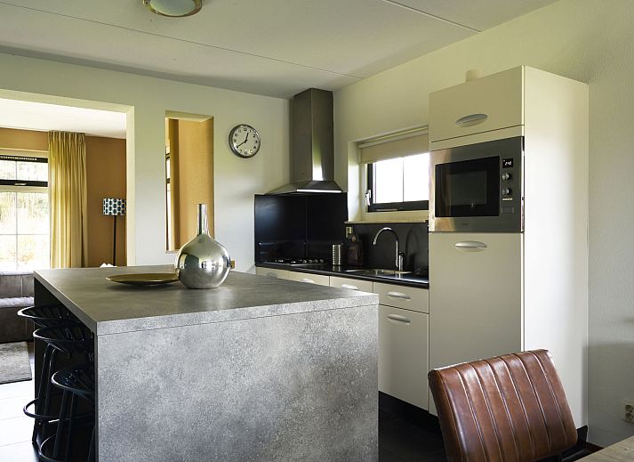 Stilvolles Wohnzimmer im Ferienhaus Lieskehuis Wellness de Luxe 10+2, Vlagtwedde, mit bequemen Sitzgelegenheiten und moderner Einrichtung.