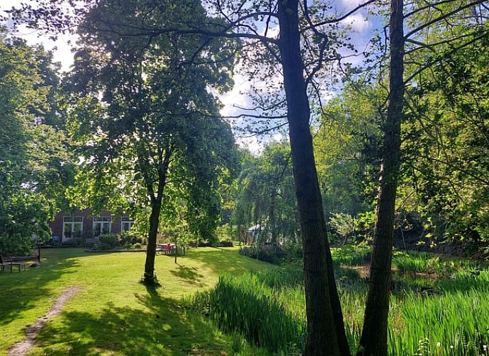 Gezellige woonkamer in Vakantiehuisje in Wedde, Zuidoost Groningen, met comfortabele banken en veel licht.