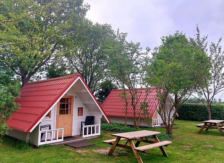 Groene tuin en vijver bij Vakantiehuisje in Wedde, Zuidoost Groningen, een oase van rust en natuur.
