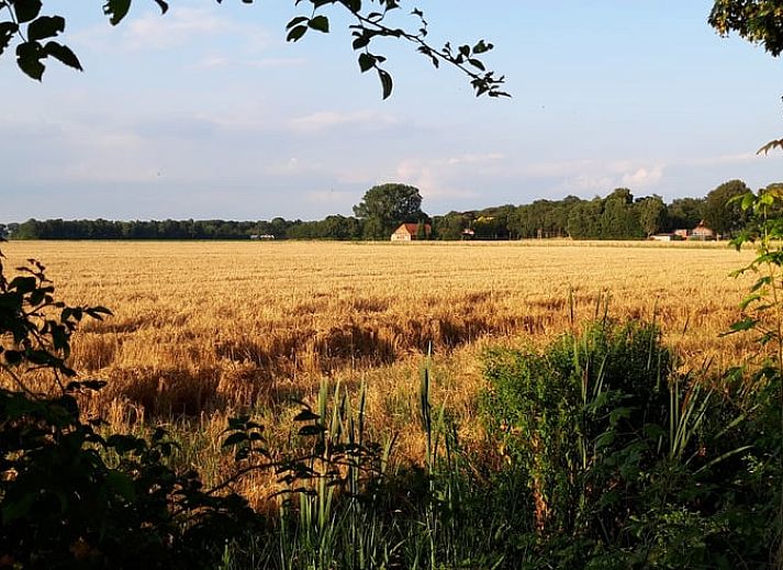 Gezellige woonkamer van Vakantiehuis in Wedde, Zuidoost Groningen, ideaal voor ontspanning.