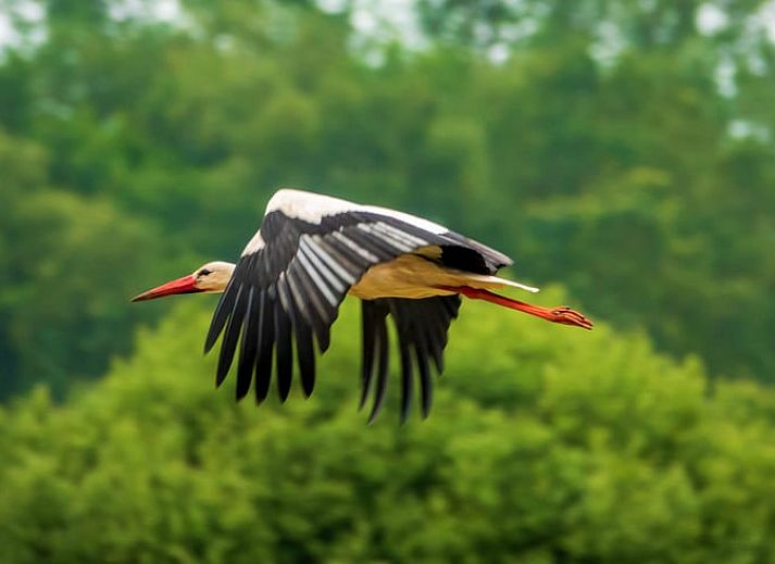 Ruime keuken in Vakantiehuis in Wedde, perfect voor familiediners in Zuidoost Groningen.