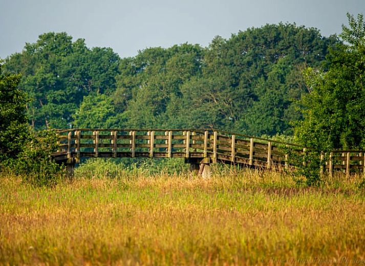 Comfortabele slaapkamer in Vakantiehuis in Wedde, Groningen, met rustieke charme.