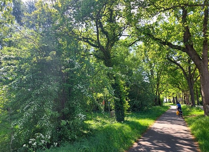 Knusse bedstede in Vakantiehuis in Wedde, ideaal voor een unieke overnachting in Groningen.
