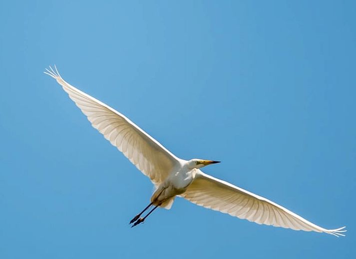 Buitenzijde van Vakantiehuis in Wedde, omringd door groen in Zuidoost Groningen.