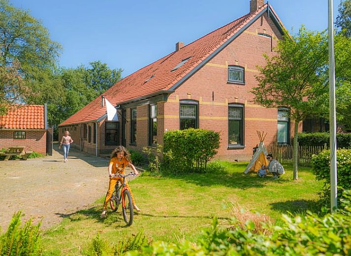Gezellige woonkamer in Vakantiehuis in Wedde, met comfortabele bank en open haard, perfect voor ontspanning in Groningen.