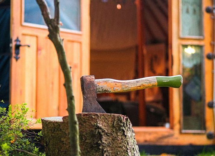 Unieke yurt accommodatie in Vakantiehuis in Wedde, met traditionele inrichting in Zuidoost Groningen.