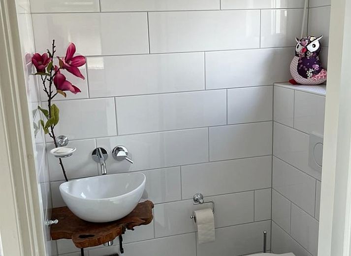 Vacation home Cottage in Onstwedde, Southeast Groningen with spacious green garden.