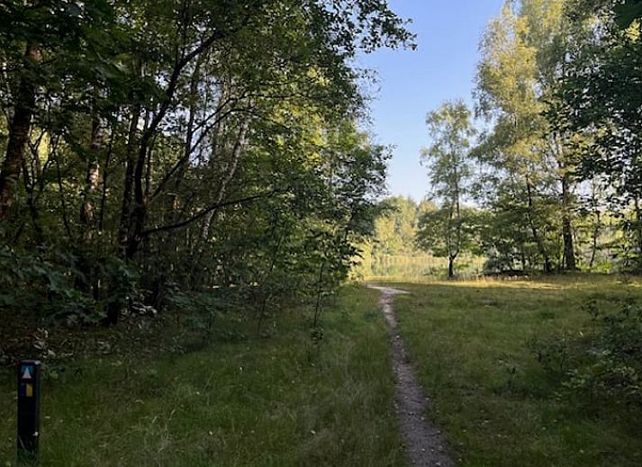 Modern kitchen in Cottage in Onstwedde, vacation home in Southeast Groningen.
