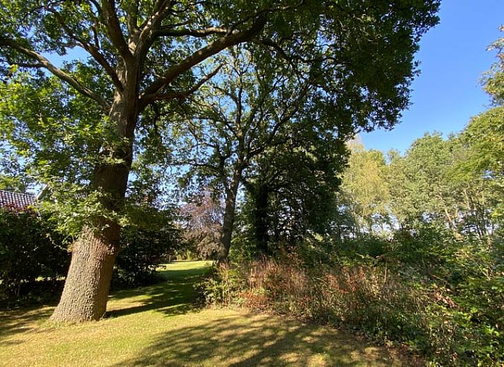 Verblijf 351414 - Vakantiewoning Zuidoost Groningen - Vakantiehuis in Onstwedde