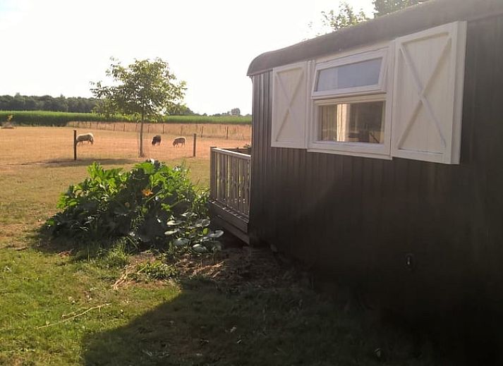Verblijf 351415 • Vakantiewoning Zuidoost Groningen • Huisje in Onstwedde