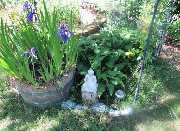 Unterkunft 351602 - Ferienhaus Zuidoost Groningen - Vakantiehuis in Veelerveen