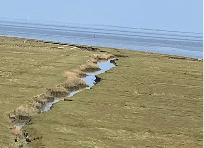 Unterkunft 351701 - Ferienhaus Zuidoost Groningen - GR046
