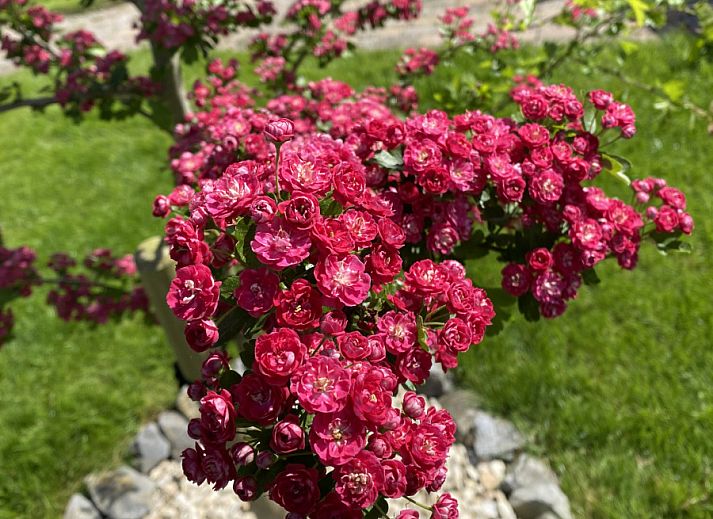 Unterkunft 351701 - Ferienhaus Zuidoost Groningen - GR046