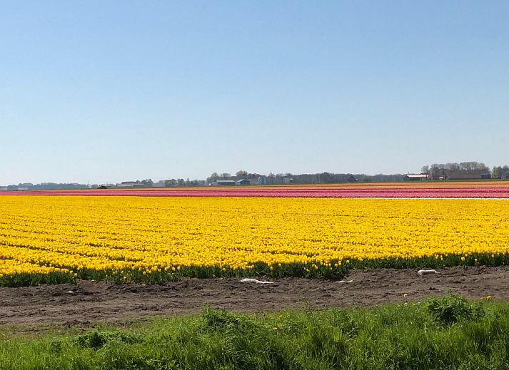Unterkunft 351701 - Ferienhaus Zuidoost Groningen - GR046