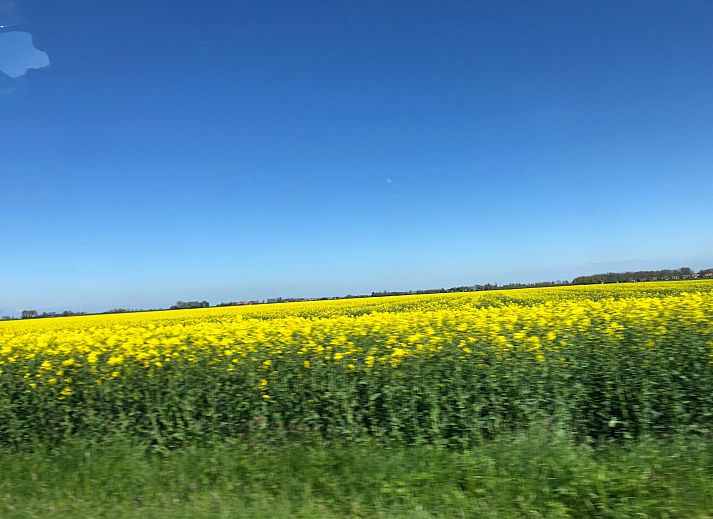 Unterkunft 351701 - Ferienhaus Zuidoost Groningen - GR046