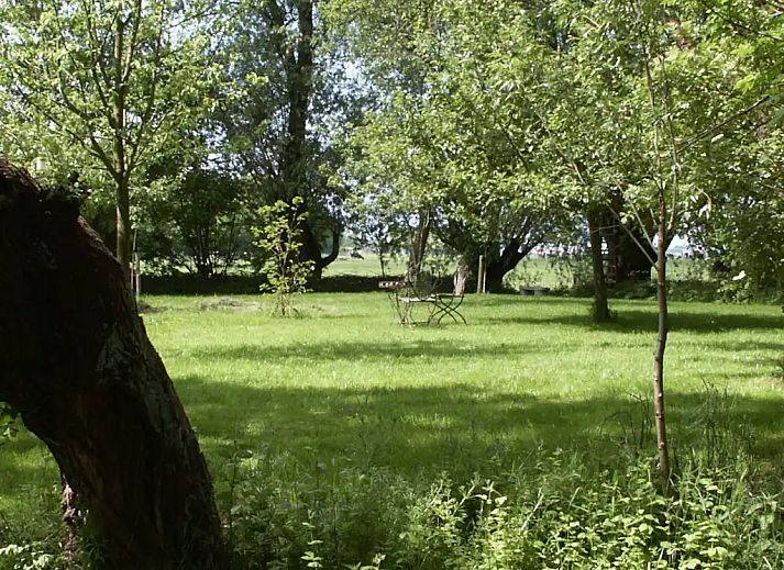 Verblijf 352203 - Appartement Zuidoost Groningen - De Wilgenhof