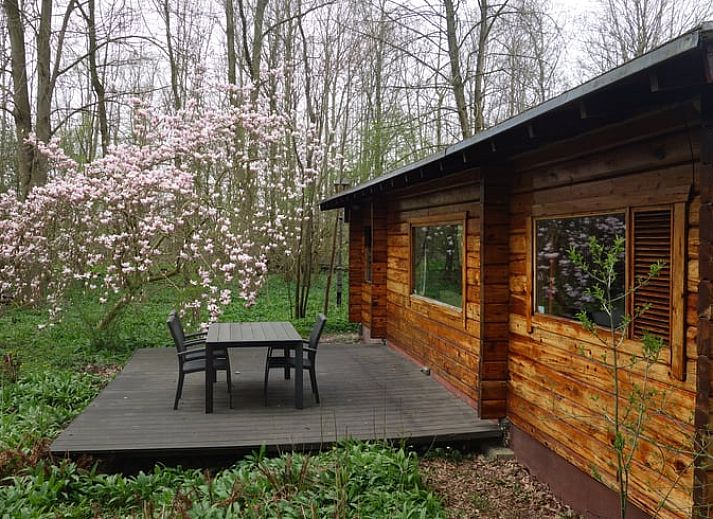 Vacation cottage in Midwolda with veranda surrounded by flowering trees in southeastern Groningen.