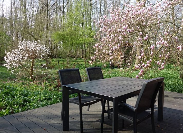 Vacation cottage in Midwolda with veranda surrounded by flowering trees in southeastern Groningen.