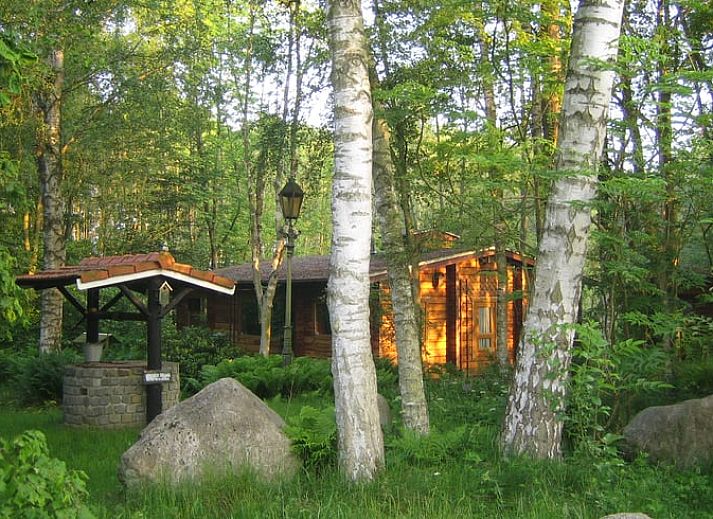 Vacation cottage in Midwolda with veranda surrounded by flowering trees in southeastern Groningen.