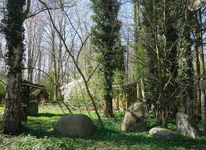 Terrace of cottage in Midwolda, located in the green nature of southeastern Groningen.