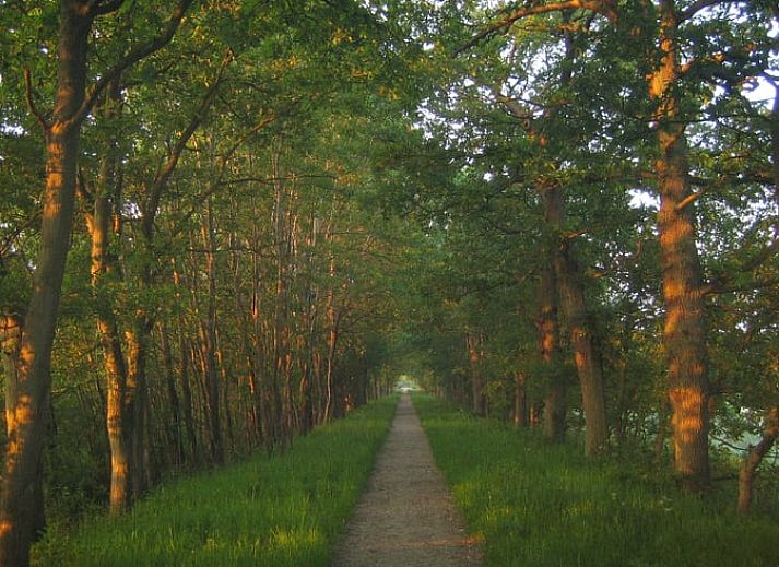 Vacation cottage in Midwolda surrounded by lush nature in southeastern Groningen.
