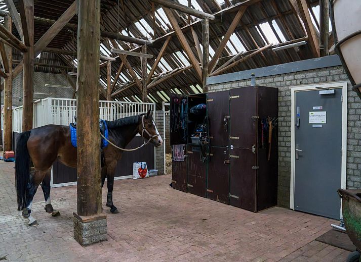 Comfortabele slaapkamer met stapelbedden in Rutershoeske, Veendam.