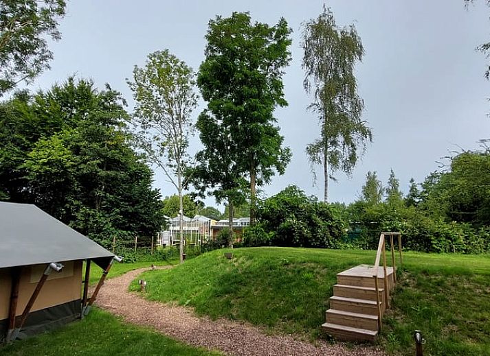 Geniet van de groene omgeving bij Vakantiehuisje in Muntendam, Zuidoost Groningen. Perfect voor natuurliefhebbers.