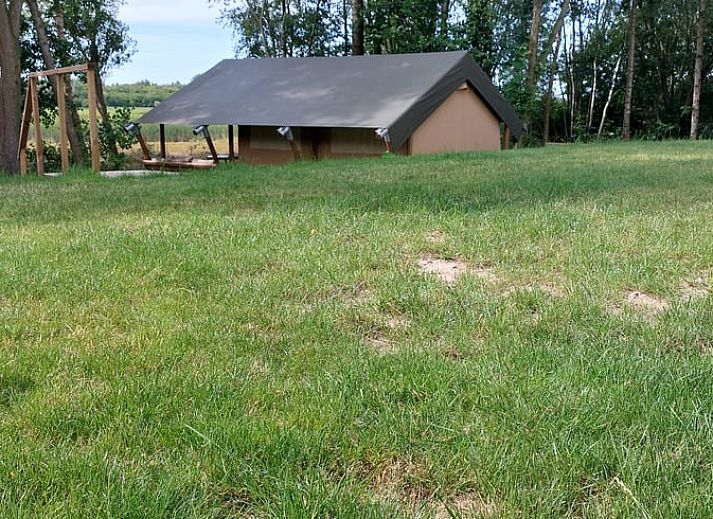Geniet van de groene omgeving bij Vakantiehuisje in Muntendam, Zuidoost Groningen. Perfect voor natuurliefhebbers.