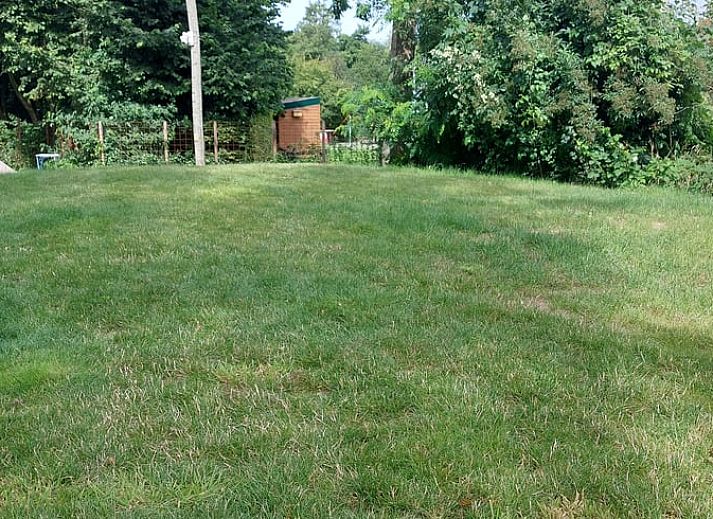 Geniet van de groene omgeving bij Vakantiehuisje in Muntendam, Zuidoost Groningen. Perfect voor natuurliefhebbers.