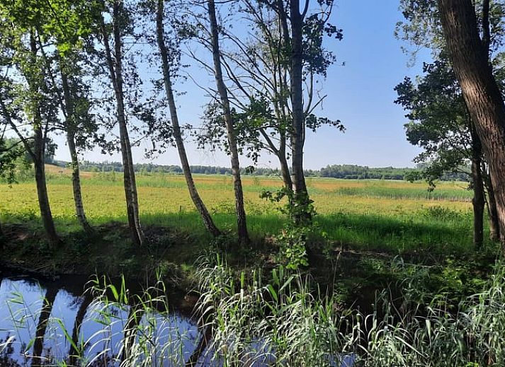 Unterkunft 353202 - Ferienhaus Zuidoost Groningen - Vakantiehuis in Muntendam