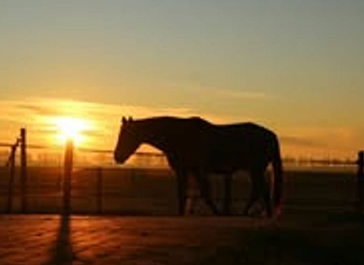 Unterkunft 353601 - Ferienhaus Zuidoost Groningen - Vakantiehuisje in Vledderveen