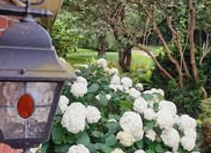 Unterkunft 353601 - Ferienhaus Zuidoost Groningen - Vakantiehuisje in Vledderveen