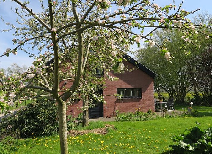 Unterkunft 360412 - Ferienhaus Zuidwest Groningen - Vakantiehuisje in Zevenhuizen