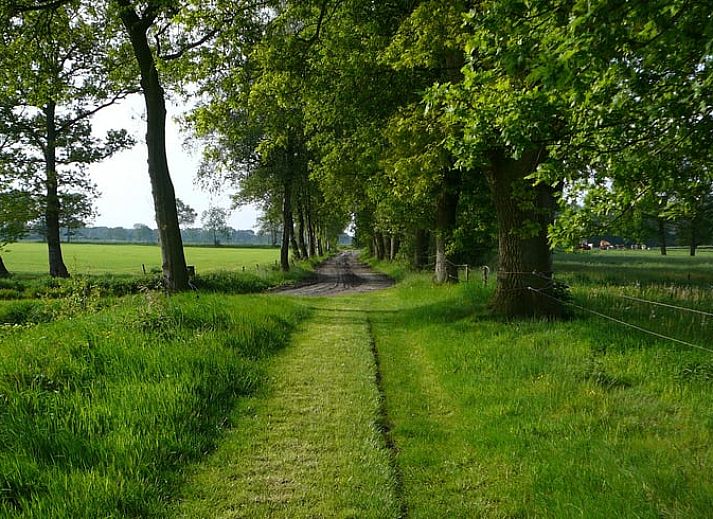 Unterkunft 360412 - Ferienhaus Zuidwest Groningen - Vakantiehuisje in Zevenhuizen