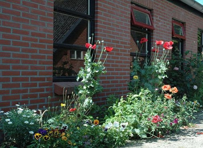 Unterkunft 360412 - Ferienhaus Zuidwest Groningen - Vakantiehuisje in Zevenhuizen