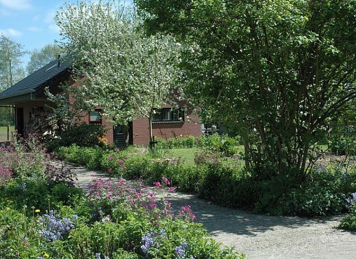 Huisje in Zevenhuizen, vakantiehuis met bloeiende tuin in Zuidwest Groningen, Groningen.