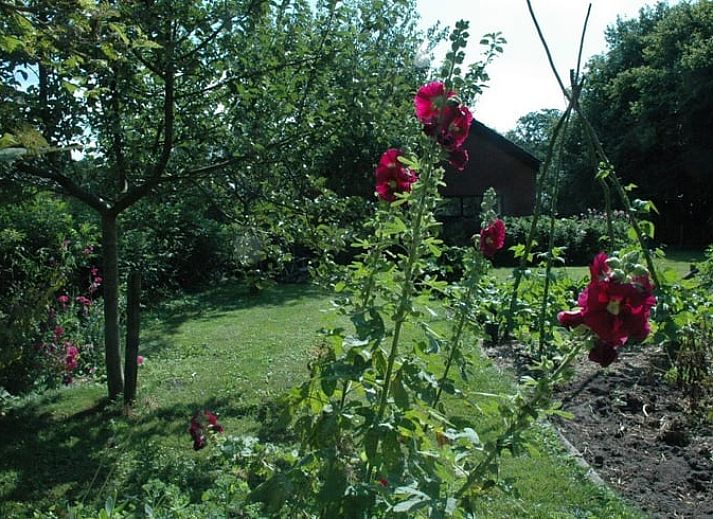 Huisje in Zevenhuizen, vakantiehuis met bloeiende tuin in Zuidwest Groningen, Groningen.