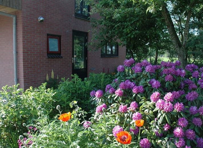Huisje in Zevenhuizen, vakantiehuis met bloeiende tuin in Zuidwest Groningen, Groningen.