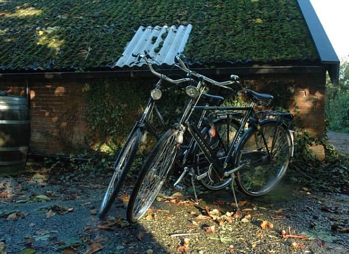 Huisje in Zevenhuizen, vakantiehuis omringd door kleurrijke bloemen in Zuidwest Groningen, Groningen.
