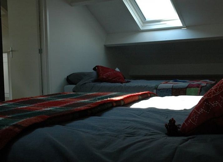 Huisje in Zevenhuizen, vooraanzicht met bloeiende bloemen in Zuidwest Groningen, Groningen.