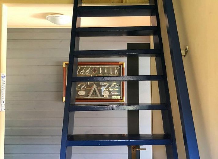 Prachtig uitzicht op het meer vanuit Huisjeaanhetmeer.nl in Haren, Zuidwest Groningen, ideaal voor natuurliefhebbers.