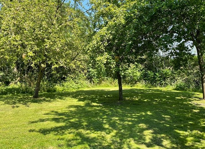 Guest house 361502 - Bed and Breakfast Zuidwest Groningen - Vakantiehuisje in Noordwijk (Wemerlande Zuid)