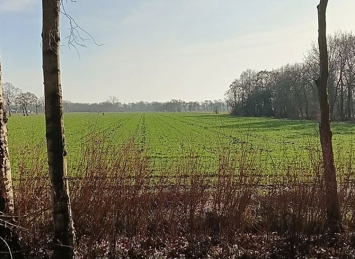 Unterkunft 361706 - Ferienhaus Zuidwest Groningen - Vakantiehuisje in Opende