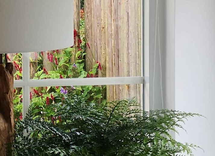 Guest house 361710 - Holiday property Zuidwest Groningen - Vakantiehuis in Opende