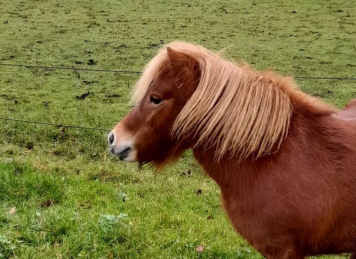 Elegante wasruimte in Huisje in Marum, vakantiehuis in Zuidwest Groningen met moderne voorzieningen.