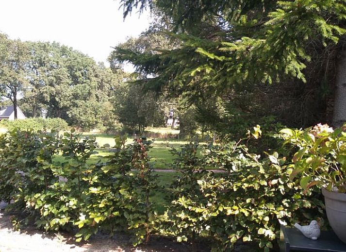 Ontwaak met een serene zonsopgang bij Huisje in Marum, vakantiehuis in de groene natuur van Zuidwest Groningen.