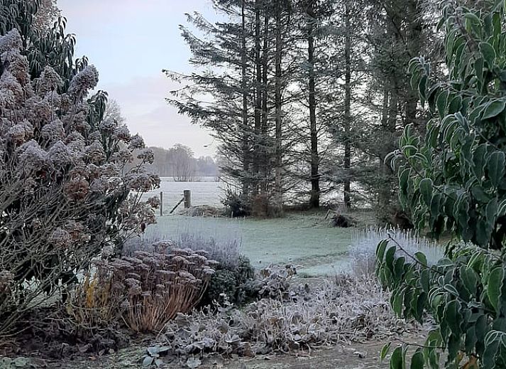 Groene omgeving bij Huisje in Marum, vakantiehuis in Zuidwest Groningen, met weelderige natuur en serene uitzichten.