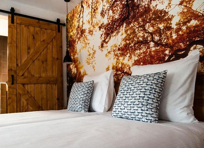 Verblijf 370105 • Bed and breakfast Midden Limburg • B&B Martinushof