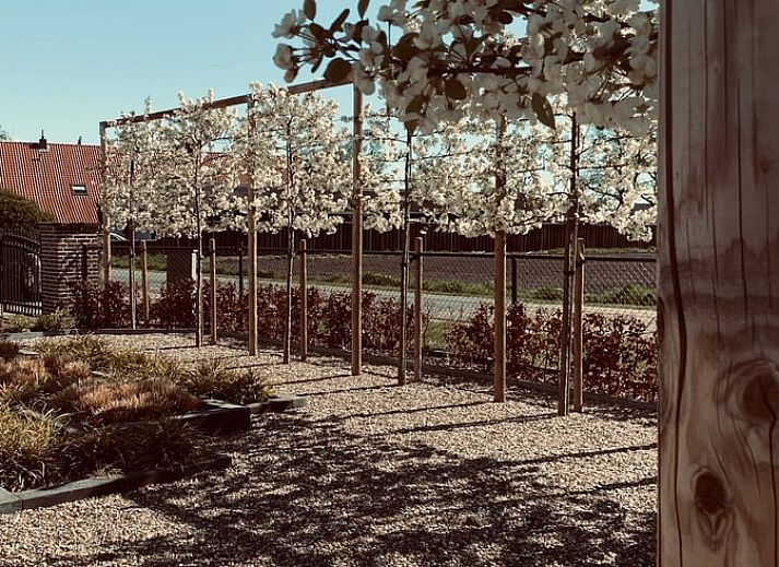 Unterkunft 370402 - Ferienhaus Midden Limburg - Vakantiehuis in Leveroy