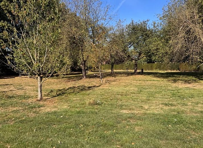 Ruhiger Garten im Ferienhaus in Weert, Mittellimburg, umgeben von Baeumen und Gruen.